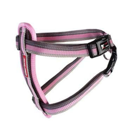 Picture of EzyDog Chest Plate Seli XL Candy