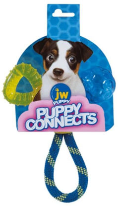 Picture of JW Puppy Connects