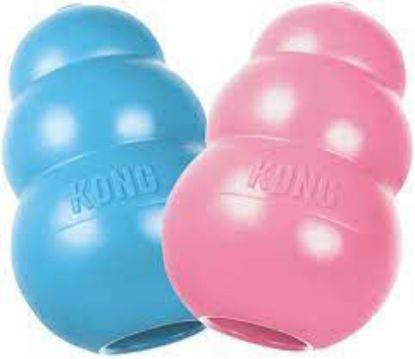 Billede af KONG Puppy L 10,1cm Bláur