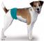 Billede af Simple Solution Gentleman Wrap L