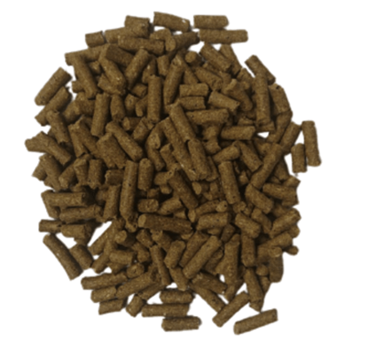 Picture of Zoo Line Testudo pellets 400g