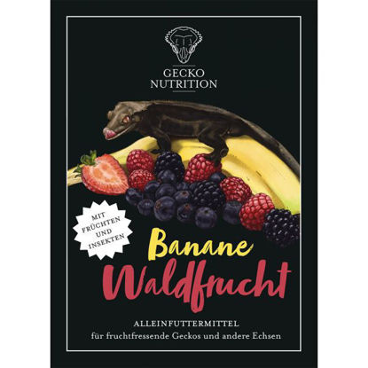 Picture of Gecko Nutrition Banan/Skógafrukt 50gr