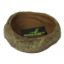 Billede af Reptiles Planet Skál 12x3x11,5cm