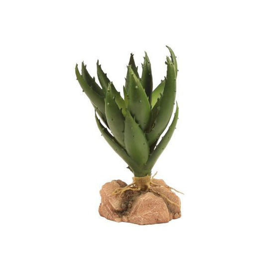 Picture of ZooMed Aloe Planta