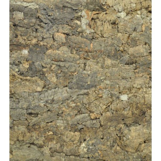 Picture of Tundur Bakgrund 45x60cm Natúr