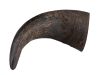 Billede af Buffalo horn 2 stk