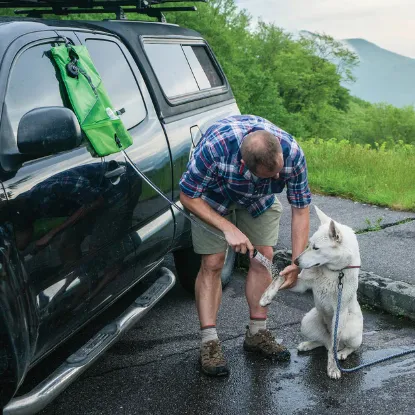 Billede af Ferðabrúsa til hund