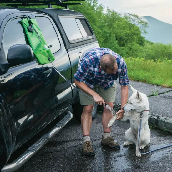 Billede af Ferðabrúsa til hund