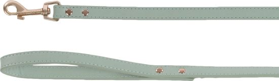 Billede af LEASH NELA MINT GREEN 130CM 15MM