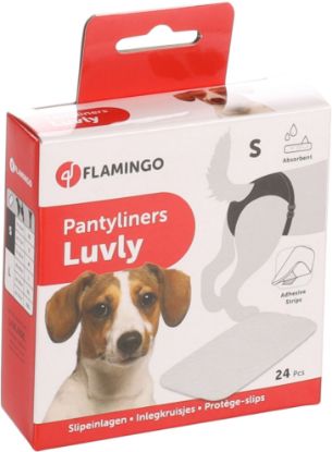 Billede af PANTYLINER S LUVLY XS-S-M 24 PCS