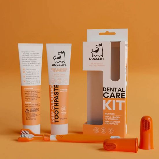 Billede af Dogslife Dental Kit