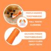 Billede af Dogslife Dental Kit