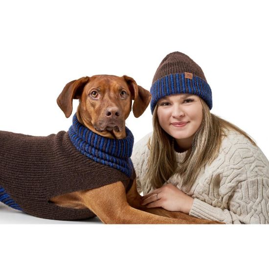 Billede af Hunter, Sett til hund og eigara, Brúnt/Blátt, 30cm