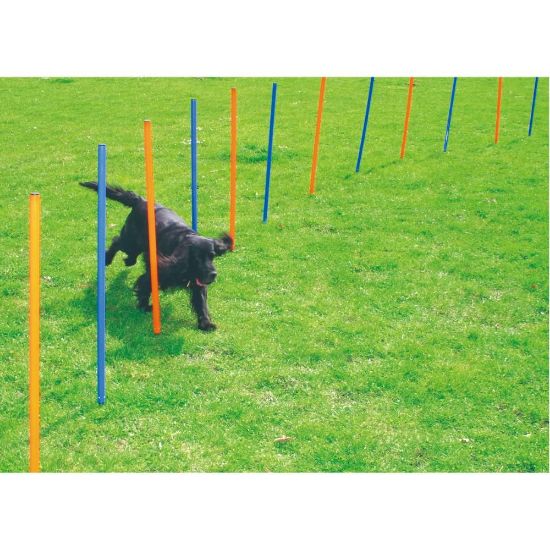 Billede af PAWISE, Agility, 12 pinnar