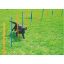 Billede af PAWISE Agility 12 pinnar