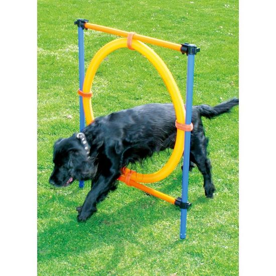 Billede af PAWISE, Agility, Ringur