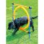 Billede af PAWISE Agility Ringur