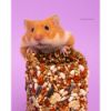 Billede af Little One,Tasty Maze, 100 g