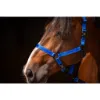 Billede af Excellent Premium Halter Blue XS