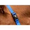 Billede af Excellent Premium Halter Blue XS