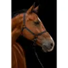 Billede af Excellent Premium Halter Black XS