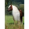 Billede af Excellent Horse Hi Gloss Spray 500 ml