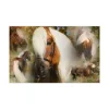 Billede af Excellent Horse Hi Gloss Spray 500 ml