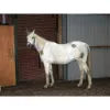 Billede af Excellent Horse Hi Gloss Clean Spray 500 ml