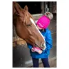Billede af Horslyx Mini Digest
