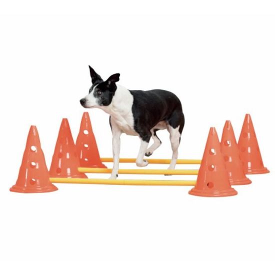 Billede af Pawise Agility Keylur og Stengur