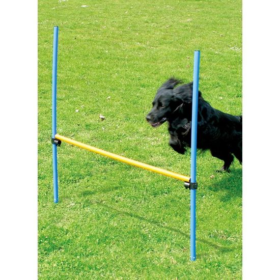 Billede af PAWISE Agility Spring