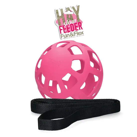 Billede af Hay Slowfeeder fun and flex bóltur 22cm Pink