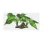 Billede af Repto Plant On Deco Light Green 30x27x15cm