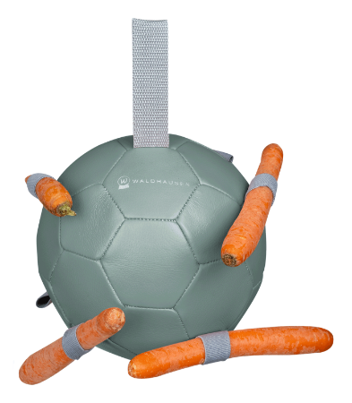 Billede til varegruppe Leikur