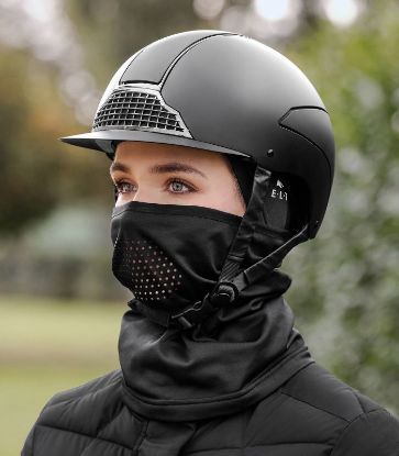 Billede af Hjálmhúgva Elt Robin