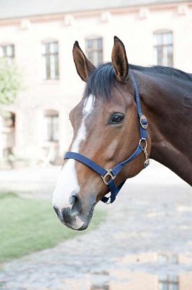 Billede af Horseguard Nylon Gríma Cob Navy