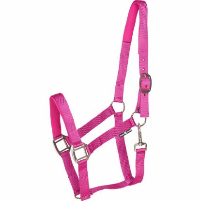 Billede af Horseguard Nylon Gríma Cob Pink