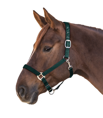 Billede af Waldhausen Satin Gríma Cob Grøn