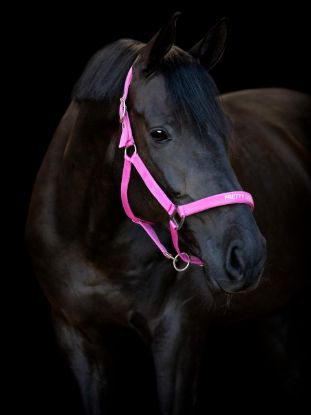 Billede af Horseguard Malva Gríma "Pretty Girl" Cob Pink
