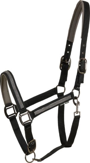 Billede af Horseguard Virna Gríma Cob Svørt