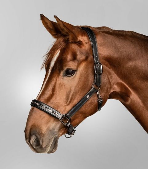 Billede af Waldhausen Crystal Leðurgríma Cob Svørt