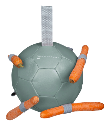 Billede af Waldhausen Gularótsbóltur Grágrønur