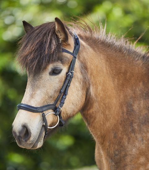 Billede af Waldhausen Komplett Boksl