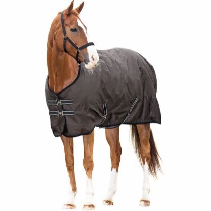 Billede af Horseguard Regnabreiða 0g 600D Brun 125cm