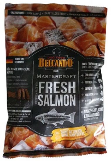 Billede af Mastercraft Friskur Laksur 50g