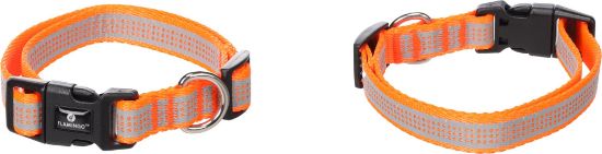 Billede af Halsband Fierro Fluo orange M 40-55cm 20mm