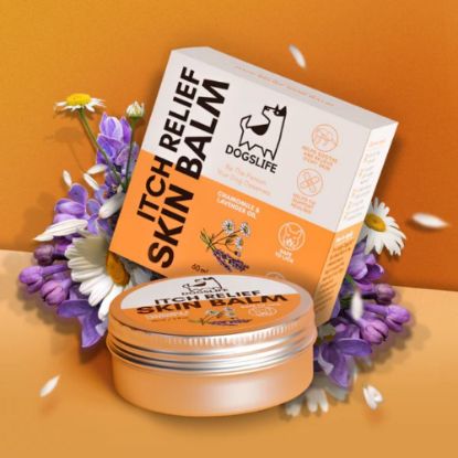 Billede af Dogslife Kløestillende creme 60ml