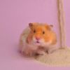 Billede af Little One Badesand, 1 kg