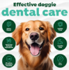 Billede af Tropiclean Oral Care Kit For Dogs 59ml