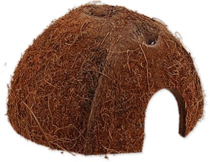 Billede af Reptile Planet Coco Shell 1/2 S
